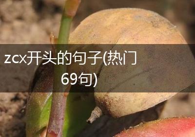 zcx开头的句子(热门69句)