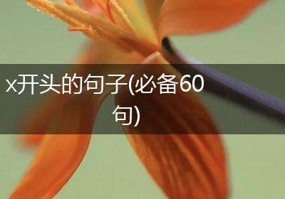x开头的句子(必备60句)