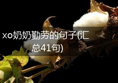 xo奶奶勤劳的句子(汇总41句)