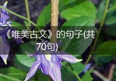 《唯美古文》的句子(共70句)