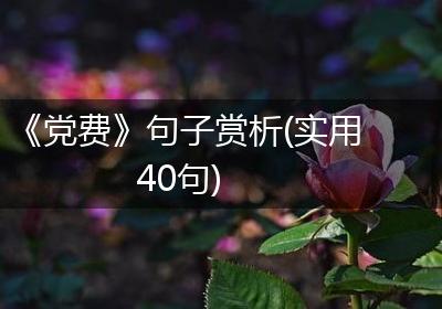 《党费》句子赏析(实用40句)