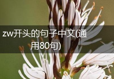 zw开头的句子中文(通用80句)