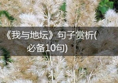 《我与地坛》句子赏析(必备10句)