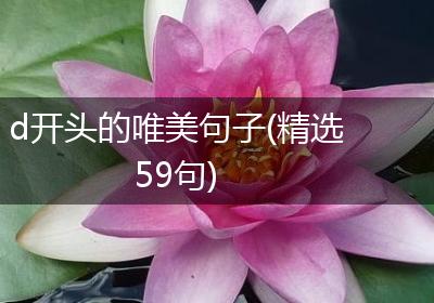 d开头的唯美句子(精选59句)