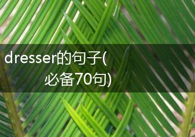 dresser的句子(必备70句)