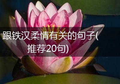 跟铁汉柔情有关的句子(推荐20句)