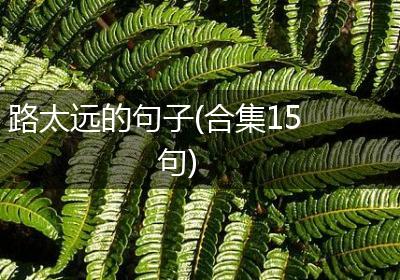 路太远的句子(合集15句)