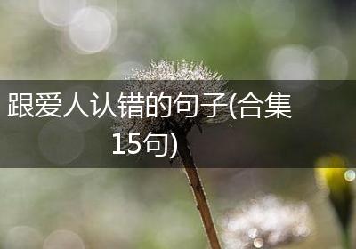跟爱人认错的句子(合集15句)