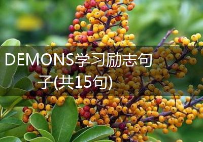 DEMONS学习励志句子(共15句)