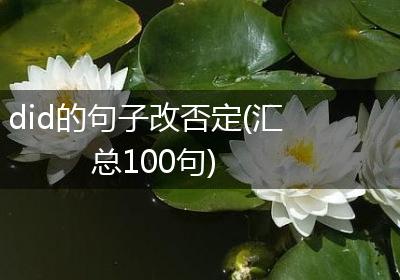did的句子改否定(汇总100句)