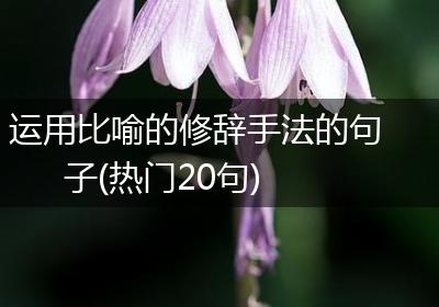 运用比喻的修辞手法的句子(热门20句)