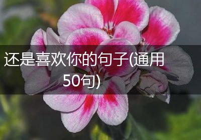 还是喜欢你的句子(通用50句)
