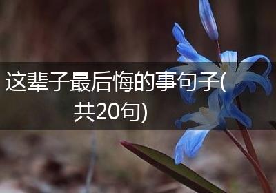 这辈子最后悔的事句子(共20句)