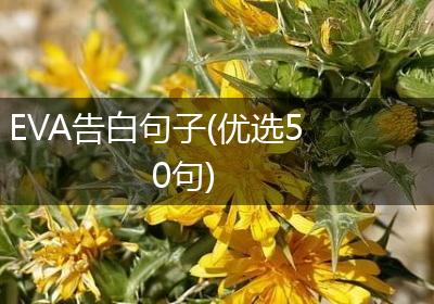 EVA告白句子(优选50句)