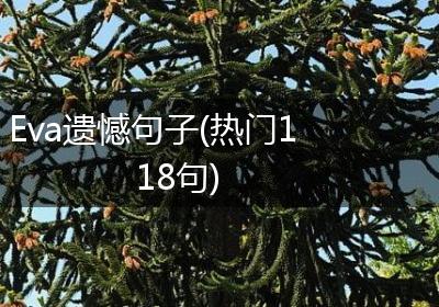 Eva遗憾句子(热门118句)