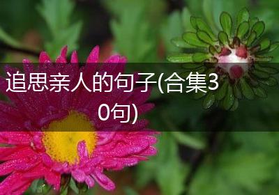 追思亲人的句子(合集30句)