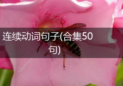 连续动词句子(合集50句)