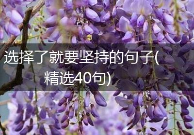 选择了就要坚持的句子(精选40句)