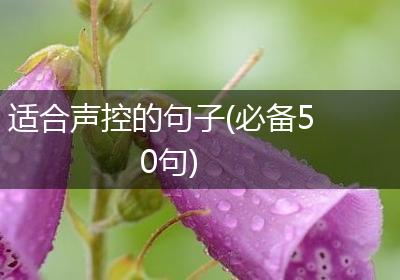 适合声控的句子(必备50句)