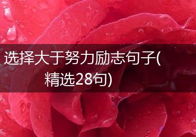 选择大于努力励志句子(精选28句)