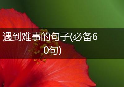 遇到难事的句子(必备60句)