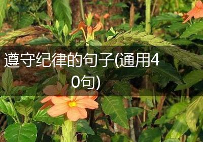 遵守纪律的句子(通用40句)