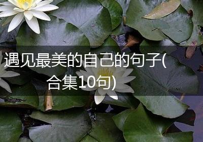 遇见最美的自己的句子(合集10句)