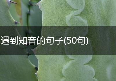 遇到知音的句子(50句)