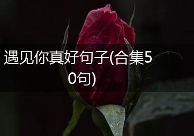 遇见你真好句子(合集50句)