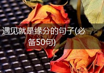 遇见就是缘分的句子(必备50句)