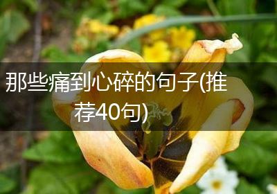 那些痛到心碎的句子(推荐40句)