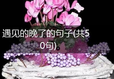 遇见的晚了的句子(共50句)