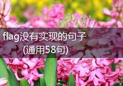 flag没有实现的句子(通用58句)