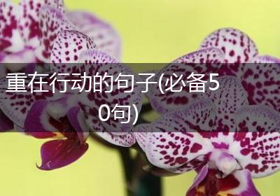 重在行动的句子(必备50句)