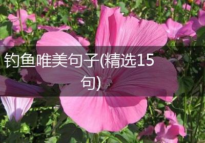钓鱼唯美句子(精选15句)