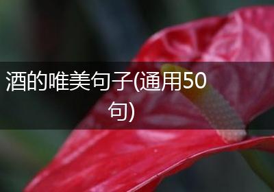 酒的唯美句子(通用50句)