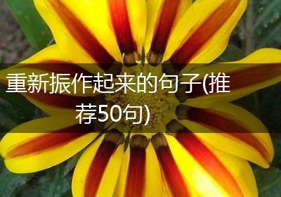 重新振作起来的句子(推荐50句)