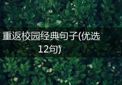 重返校园经典句子(优选12句)