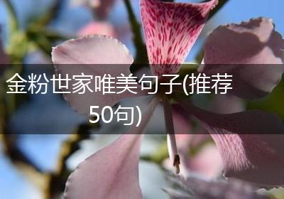 金粉世家唯美句子(推荐50句)