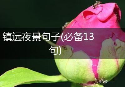 镇远夜景句子(必备13句)