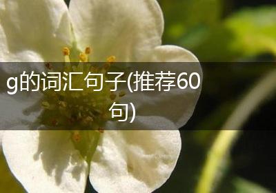 g的词汇句子(推荐60句)