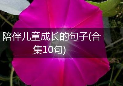 陪伴儿童成长的句子(合集10句)