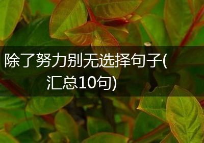 除了努力别无选择句子(汇总10句)