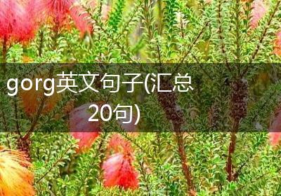 gorg英文句子(汇总20句)