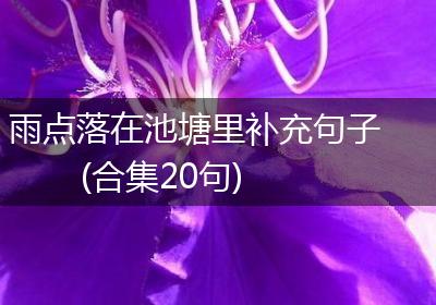 雨点落在池塘里补充句子(合集20句)