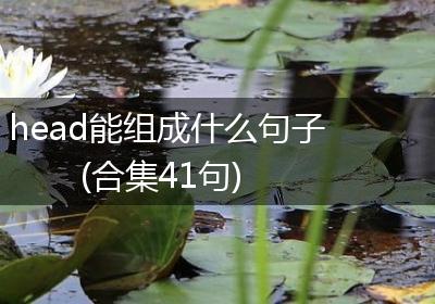 head能组成什么句子(合集41句)
