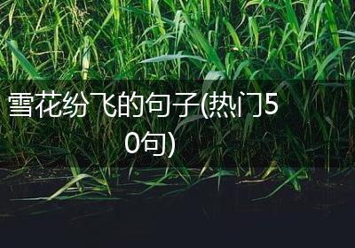 雪花纷飞的句子(热门50句)