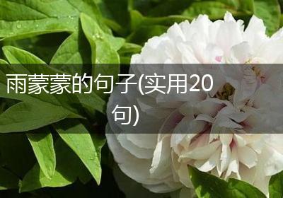 雨蒙蒙的句子(实用20句)