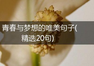 青春与梦想的唯美句子(精选20句)
