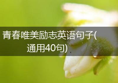 青春唯美励志英语句子(通用40句)